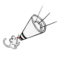 Advertising Agency in Cairns