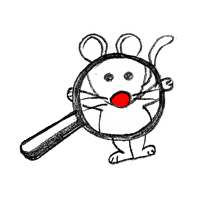 Cairns Search Engine Optimization
